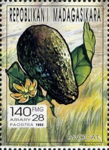 Colnect-3136-532-Avocado.jpg