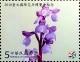 Colnect-4029-537-Orchids.jpg