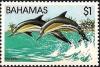 Colnect-1416-569-Dolphins.jpg