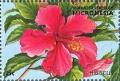 Colnect-5473-567-Hibiscus.jpg