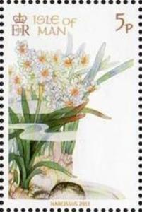 Colnect-3382-156-Daffodils.jpg