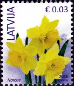 Colnect-3164-563-Daffodil.jpg