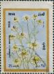 Colnect-2119-256-Chamomile.jpg