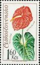 Colnect-414-056-Anthurium.jpg