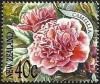 Colnect-2202-588-Camellia.jpg