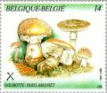 Colnect-186-659-Mushrooms.jpg