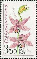 Colnect-414-059-Cymbidium.jpg