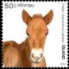 Colnect-5745-457-Foal.jpg