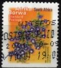 Colnect-3982-135-Karoo-Violet.jpg