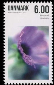 Colnect-959-725-Geranium-sp.jpg