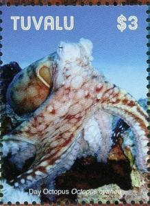 Colnect-6440-975-Day-Octopus.jpg