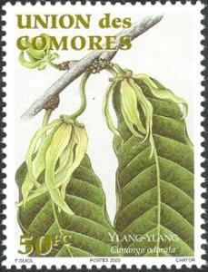 Colnect-6056-045-Ylang-Ylang.jpg