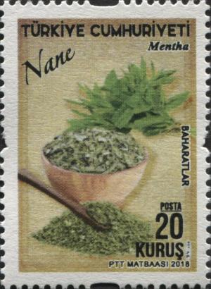 Colnect-5612-515-Mint-Mentha.jpg