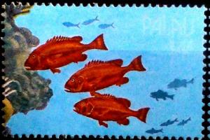 Colnect-5880-075-Red-Snapper.jpg