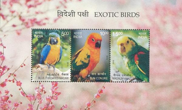 Colnect-4555-095-Exotic-birds.jpg