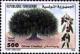 Colnect-558-735-Olive-tree.jpg