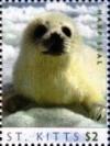 Colnect-6303-960-Harp-seal.jpg