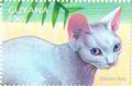 Colnect-4863-460-Devon-Rex.jpg