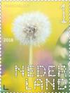 Colnect-4879-461-Dandelion.jpg