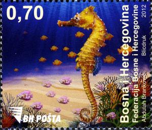 Colnect-1854-613-Seahorse.jpg