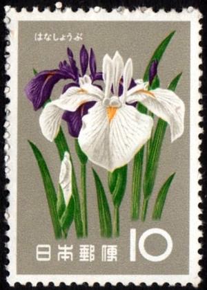 Japan_1961_Iris.jpg