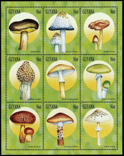 Colnect-3117-561-Mushrooms.jpg