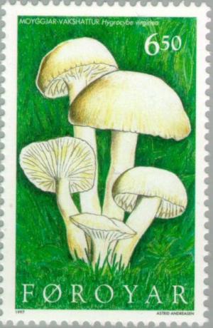 Colnect-157-962-Mushrooms.jpg