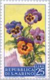 Colnect-169-632-Pansies.jpg