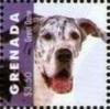 Colnect-6020-963-Great-Dane.jpg