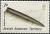 Colnect-1590-763-Belemnite.jpg