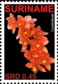 Colnect-4017-064-Cymbidium.jpg