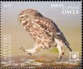 Colnect-7163-164-Little-Owl.jpg