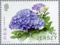 Colnect-2821-765-Hydrangea.jpg