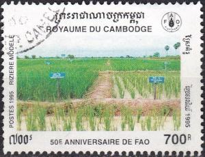 Colnect-2656-365-Rice-field.jpg