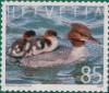 Colnect-6732-466-Goosander.jpg