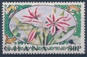 Colnect-1889-166-Amaryllis.jpg