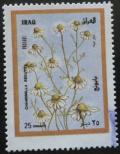 Colnect-1589-268-Chamomile.jpg