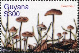 Colnect-3137-568-Marasmius.jpg