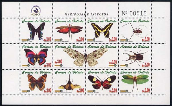 Skap-bolivia_06_insects_ms.jpg