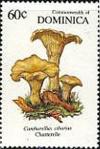 Colnect-2291-846-Chanterelle.jpg