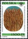 Colnect-3064-126-Wheat-stalks.jpg