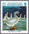 Colnect-4047-952-6-Geese-A-laying.jpg