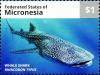 Colnect-5727-266-Whale-shark.jpg