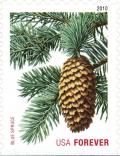 Colnect-1637-886-Blue-Spruce.jpg