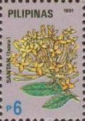 Colnect-2957-946-Yellow-ixora.jpg