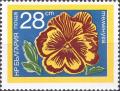 Colnect-4033-136-Pansy-Viola.jpg