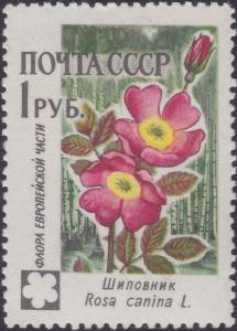 Colnect-1868-606-Rosa-canina.jpg