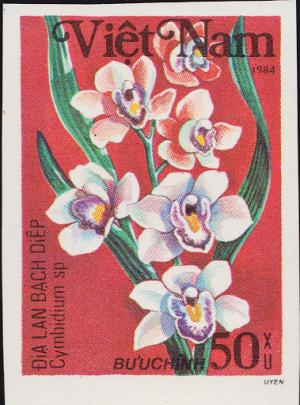 Colnect-2401-616-Cymbidium-sp.jpg