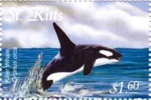 Colnect-3483-426-Killer-whale.jpg