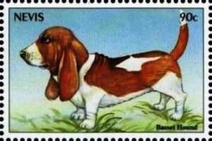 Colnect-4411-466-Basset-hound.jpg